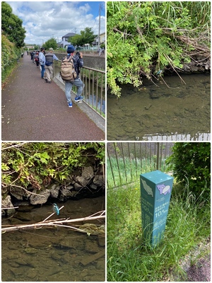 バードウォッチング2 3 カワセミ 店舗日記 公式サイト 東京都町田市金井にあるベンリー小田急鶴川店 町田中町店は閉店致しました